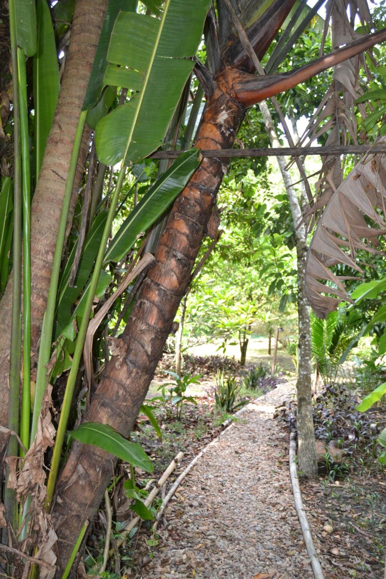 Iguana Roost Tourism Gold Standard Fully Equipped Two Bedroom Cabin San Ignacio Dış mekan fotoğraf