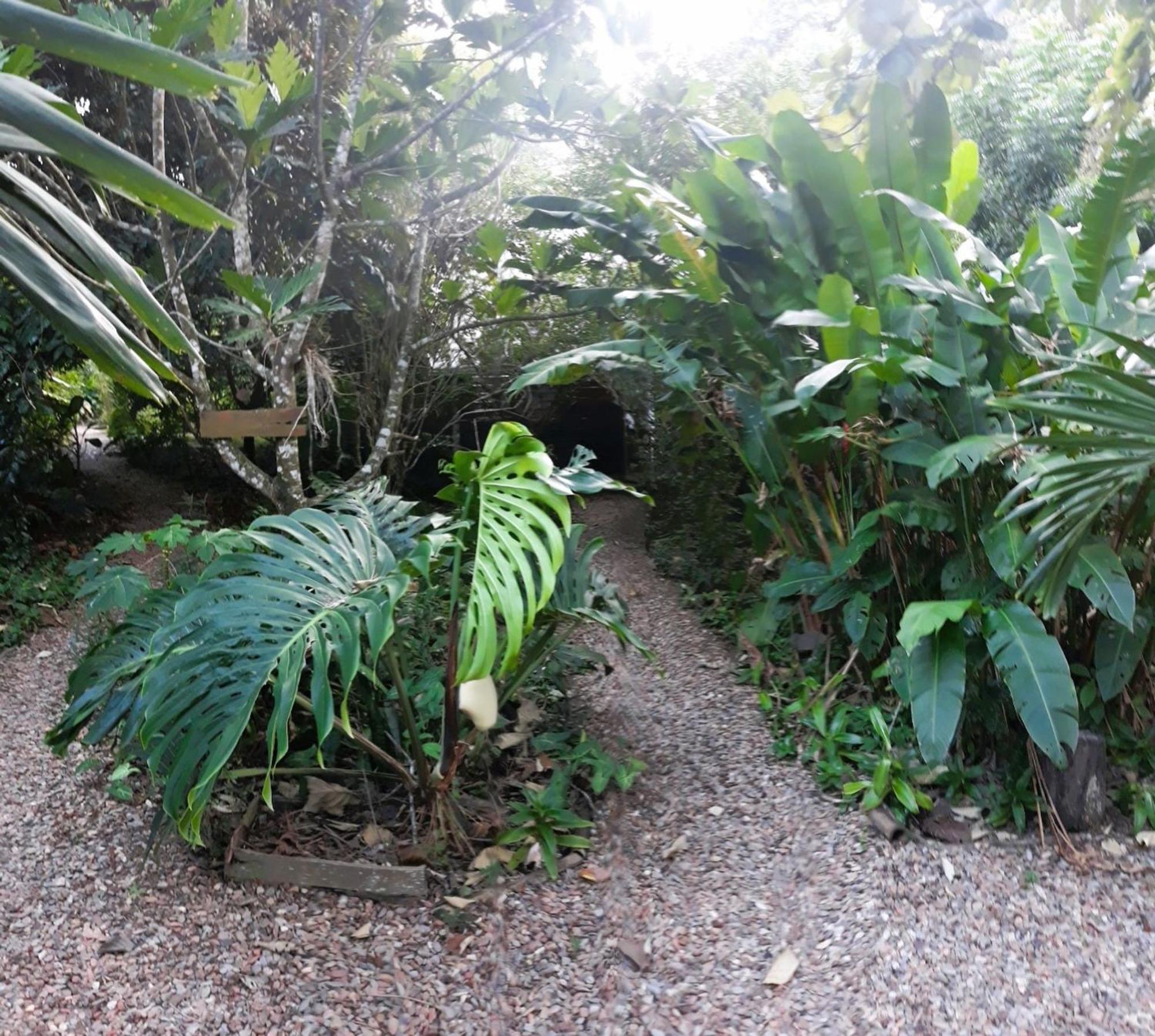 Iguana Roost Tourism Gold Standard Fully Equipped Two Bedroom Cabin San Ignacio Dış mekan fotoğraf